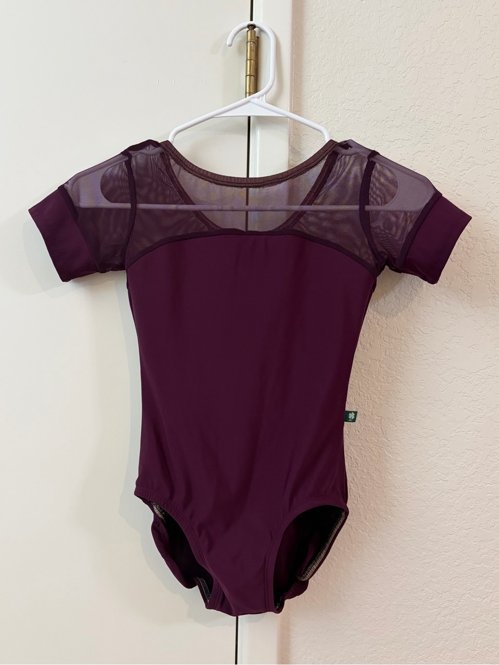EUC Luckyleo Eggplant Mesh Leotard with Cap Sleeves Adult Small